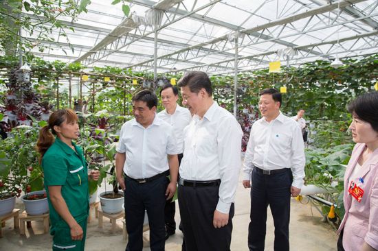 2015年6月16日下午，習近平在遵義縣楓香鎮花茂村的現代高效農業(yè)智能溫控大棚，向正在勞動(dòng)的村民了解增收致富情況。新華社記者黃敬文攝